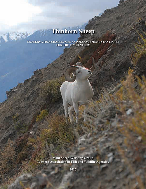 WAFWA Thinhorn Sheep Conservation Challenges Cover
